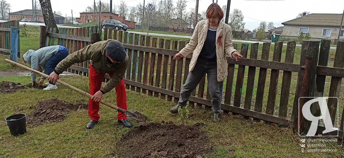 В Поломошном расцветёт «Белый сад»