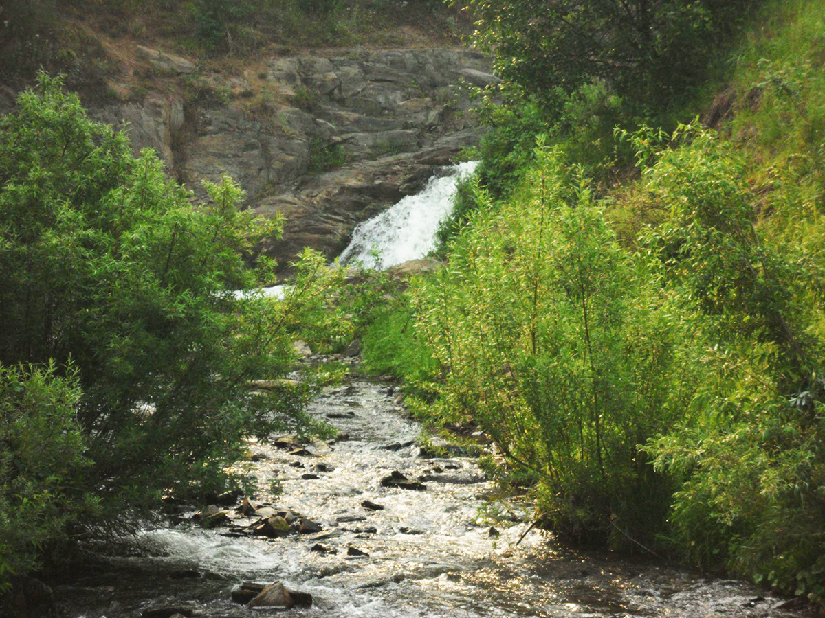 В Красноселке 1