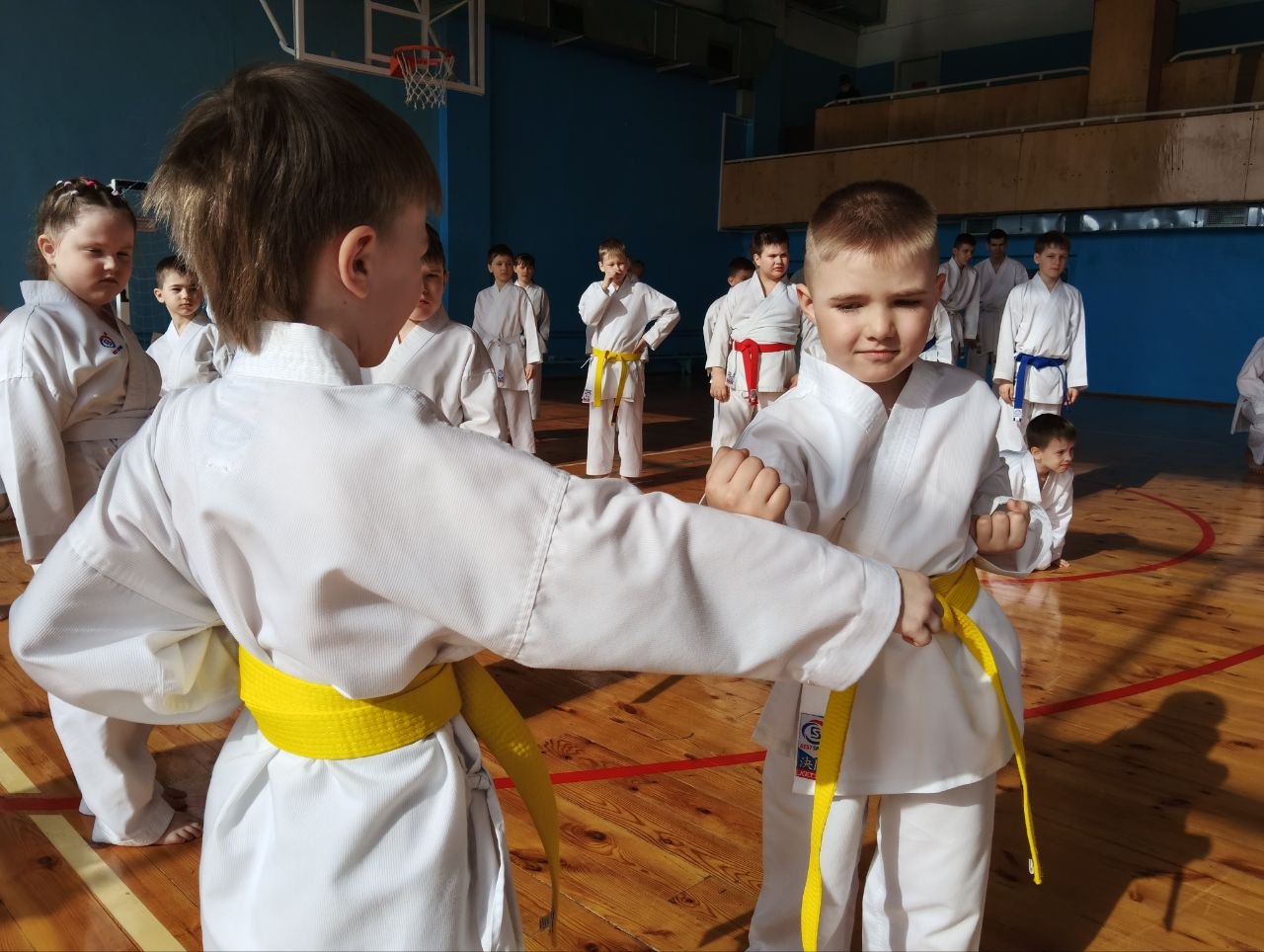 Каратэ 06042026 2