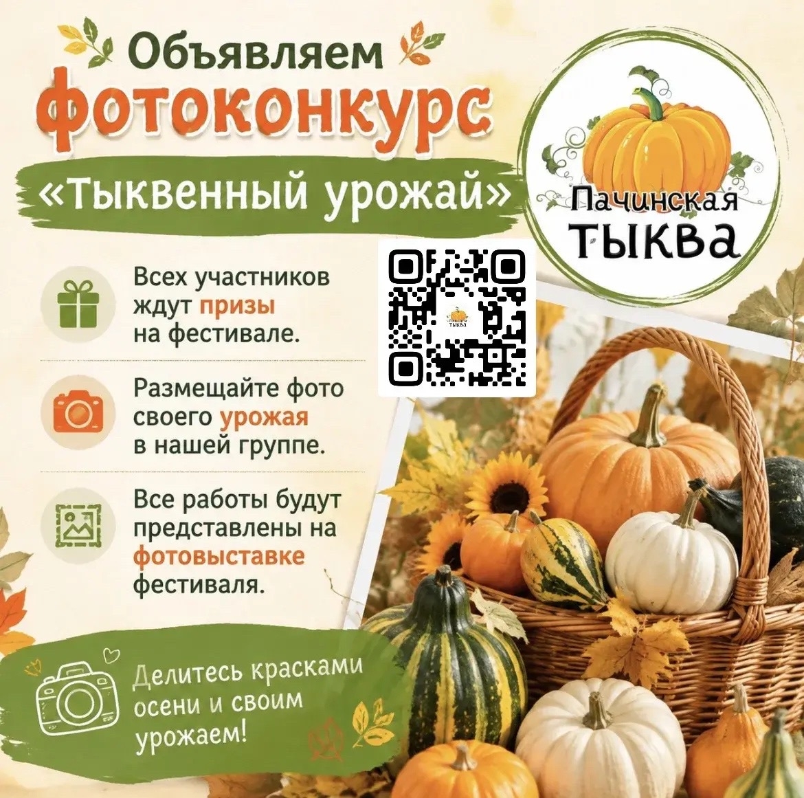 Фотографии урожая покажут на фестивале «Пачинская тыква»